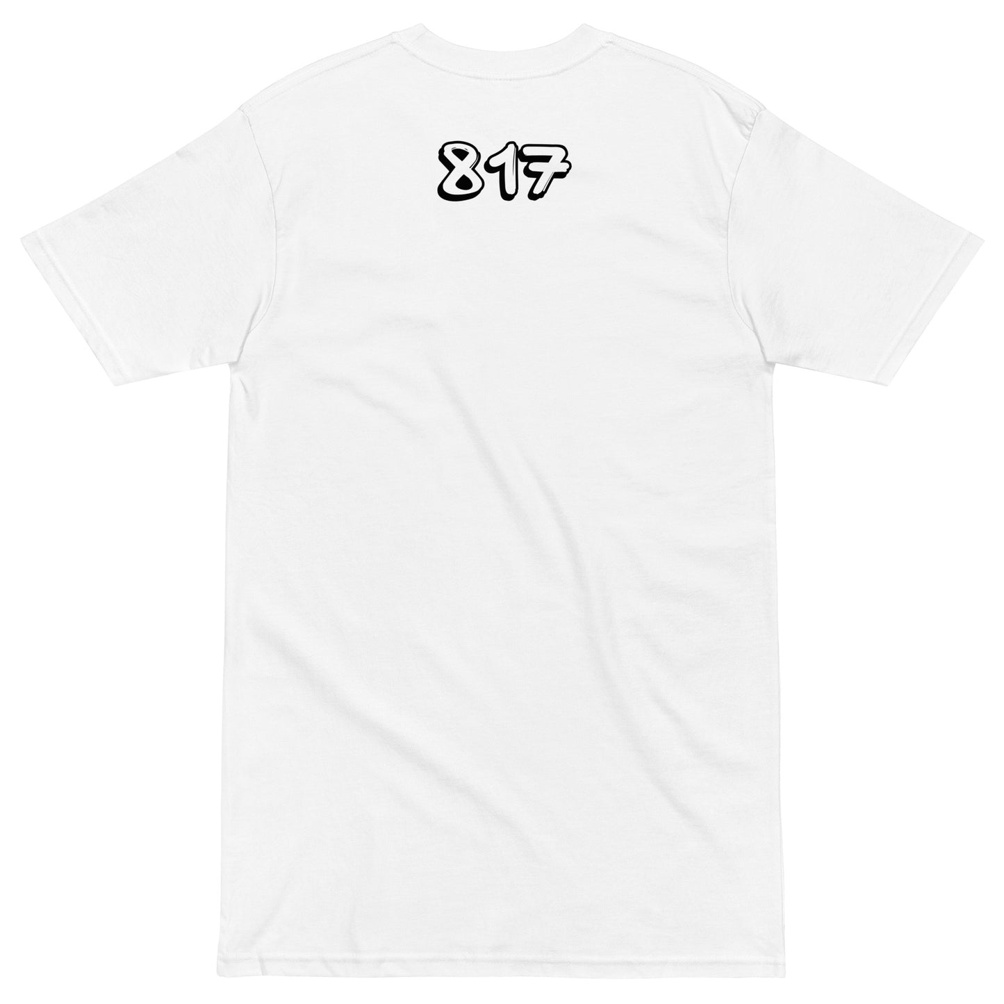 FTW 817 Men’s premium heavyweight tee
