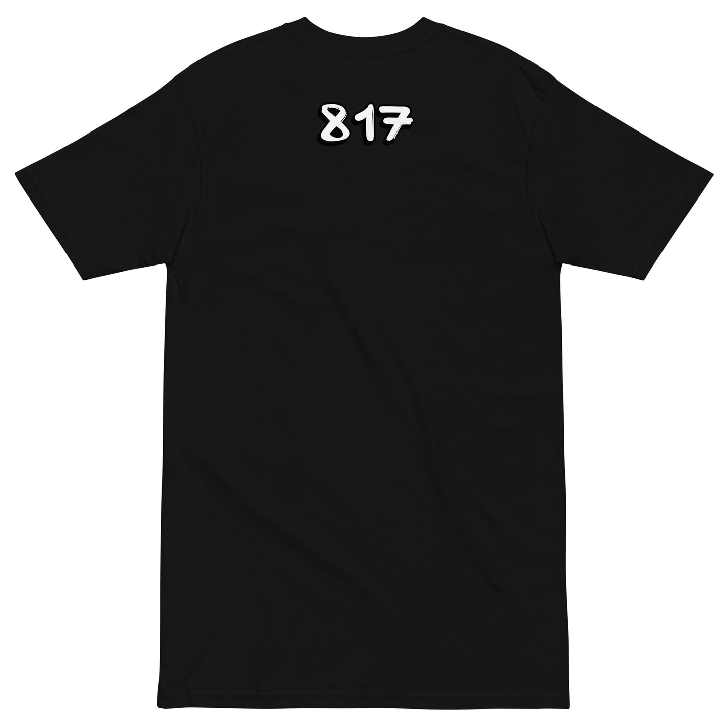 FTW 817 Men’s premium heavyweight tee