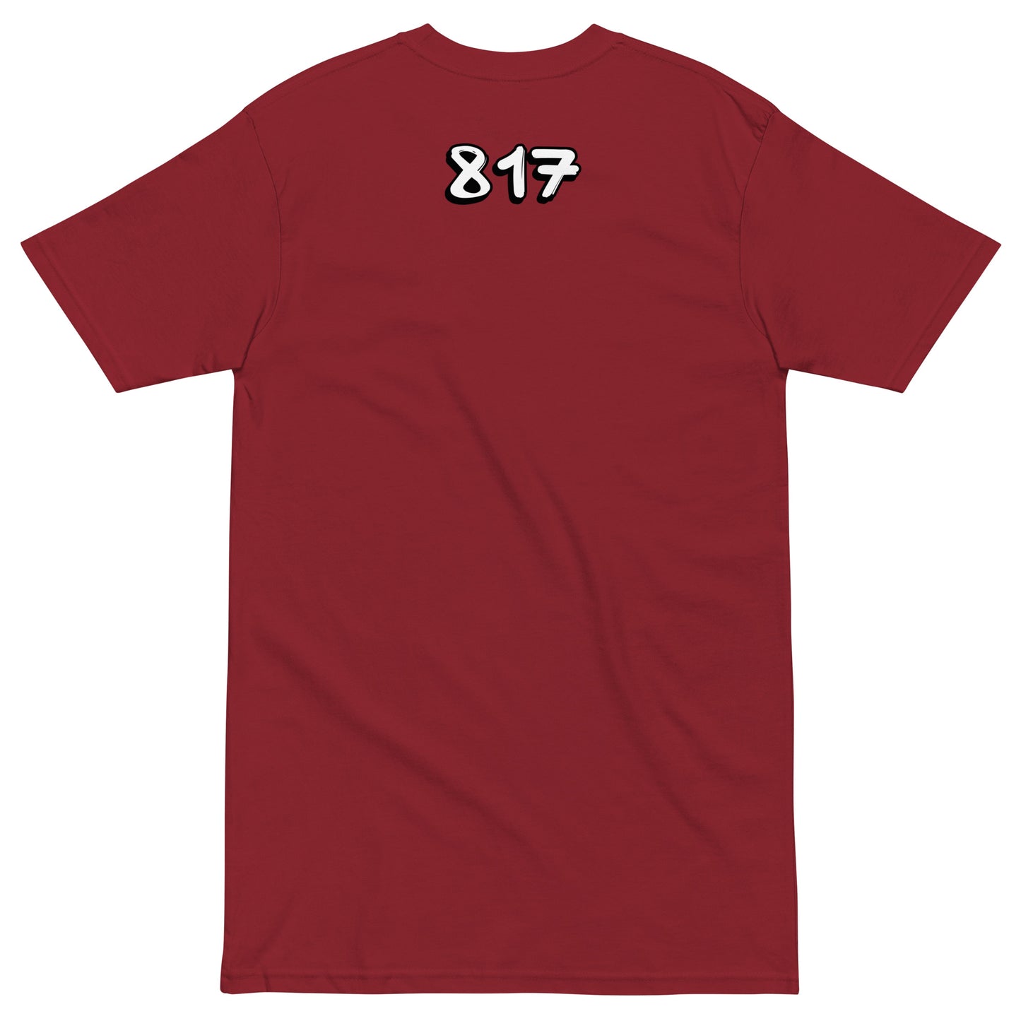 FTW 817 Men’s premium heavyweight tee