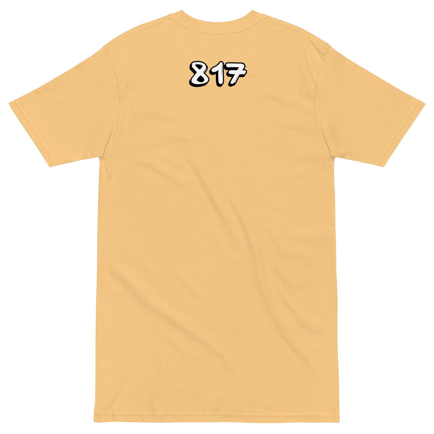 FTW 817 Men’s premium heavyweight tee